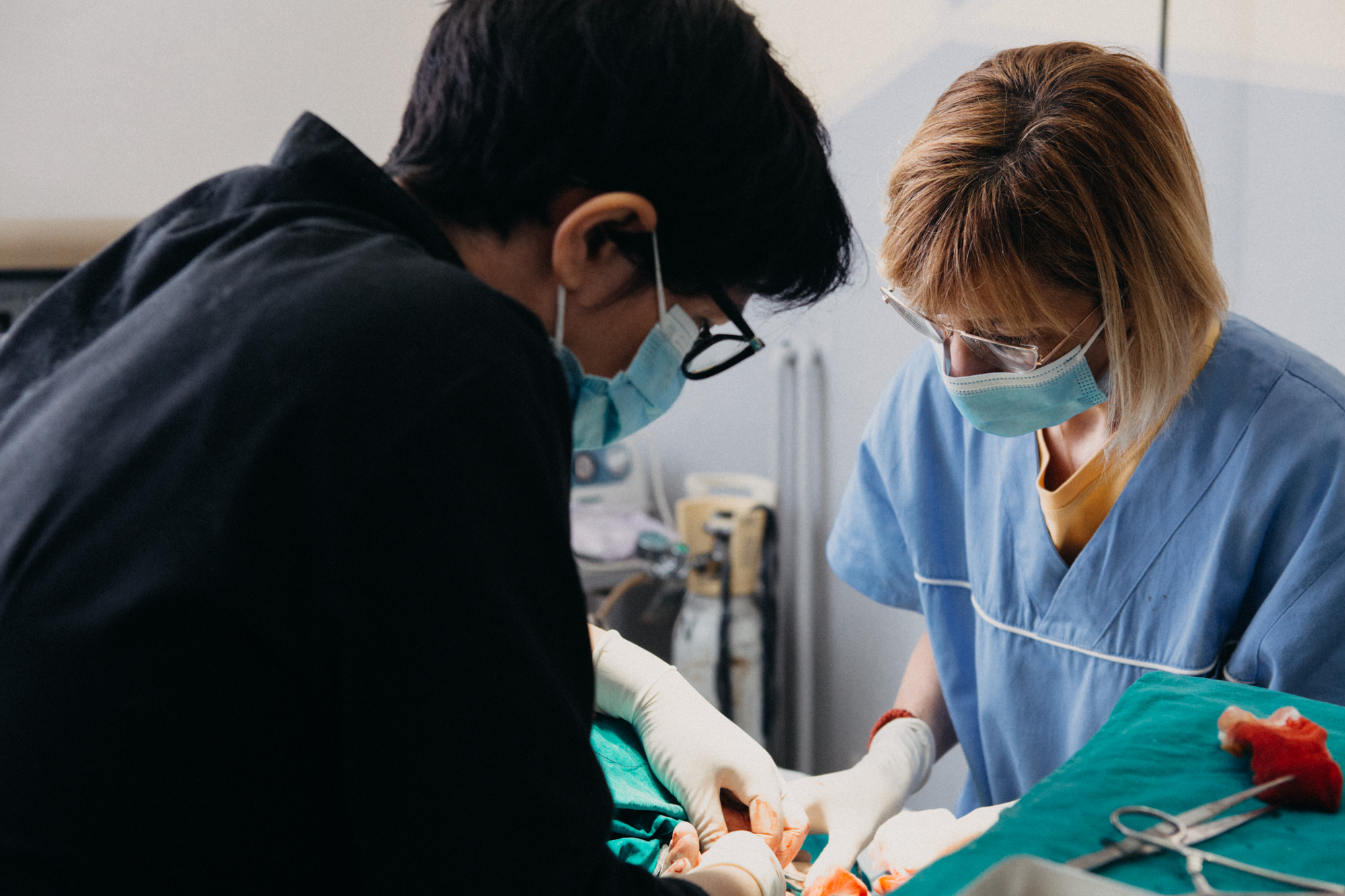 Veterinary Equipment